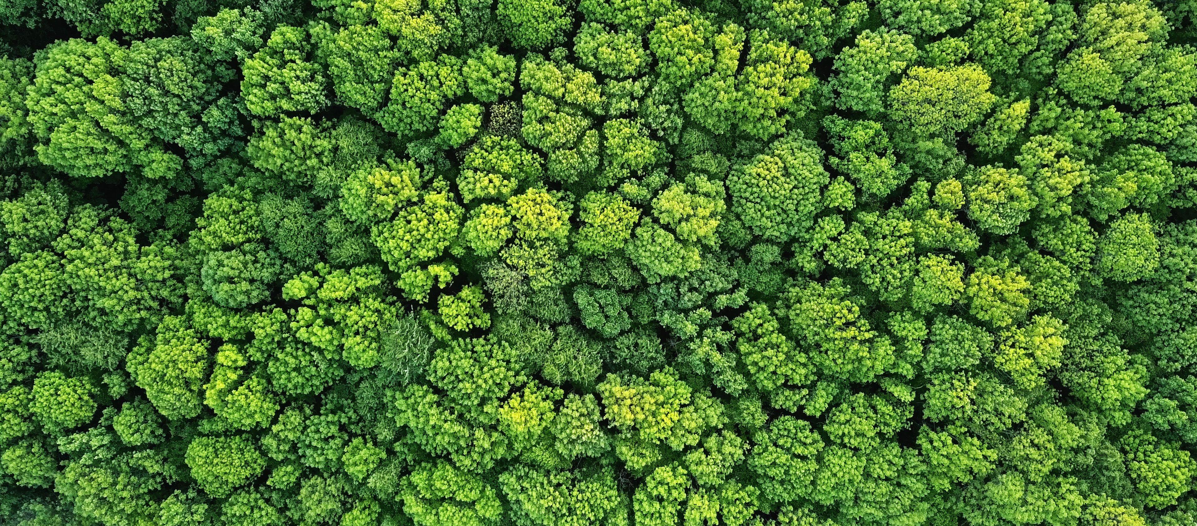 COP28